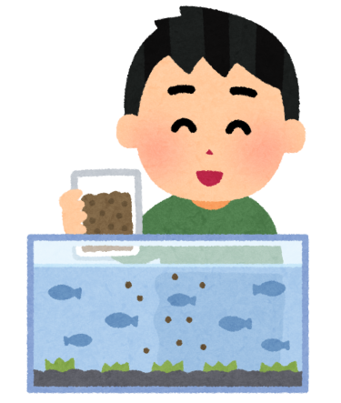 実は難しい！？メダカの餌やり回数を徹底解説！エサの種類についても