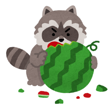 メダカがアライグマの被害に！？アライグマからメダカを守る対策を紹介！捕獲方法も！